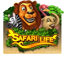 Safari Life - SOLIDPLAY99