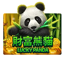 Lucky Panda - SOLIDPLAY99