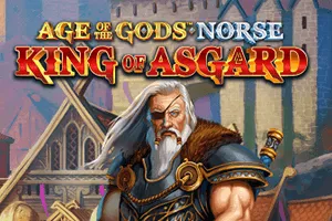 Age of the Gods Norse: King of Asgard - SOLIDPLAY99