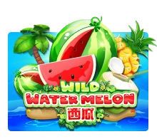 Wild Watermelon - SOLIDPLAY99